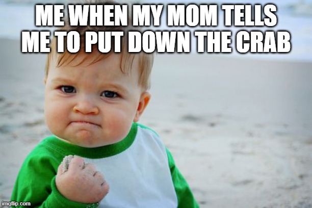 wow i was 5 | ME WHEN MY MOM TELLS ME TO PUT DOWN THE CRAB | image tagged in memes,success kid original | made w/ Imgflip meme maker