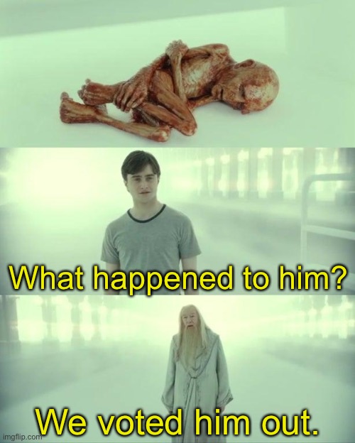 Dead Baby Voldemort / What Happened To Him | What happened to him? We voted him out. | image tagged in dead baby voldemort / what happened to him | made w/ Imgflip meme maker