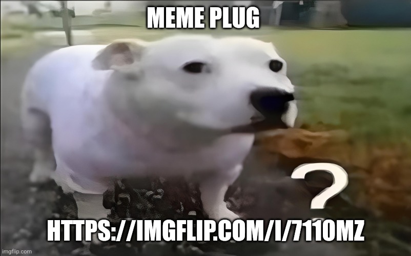 Huh Dog | MEME PLUG; HTTPS://IMGFLIP.COM/I/7110MZ | image tagged in huh dog | made w/ Imgflip meme maker