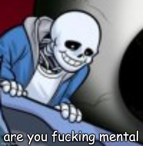 are you fucking mental | made w/ Imgflip meme maker