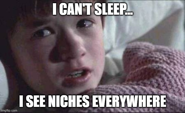 I see niches everywhere | I CAN'T SLEEP... I SEE NICHES EVERYWHERE | image tagged in memes,seo,niche,niches,affiliate marketing,affiliate | made w/ Imgflip meme maker