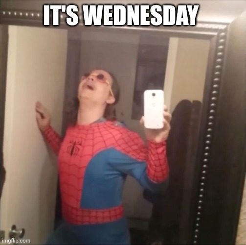 It's Wednesday my dudes | IT'S WEDNESDAY | image tagged in it's wednesday my dudes | made w/ Imgflip meme maker