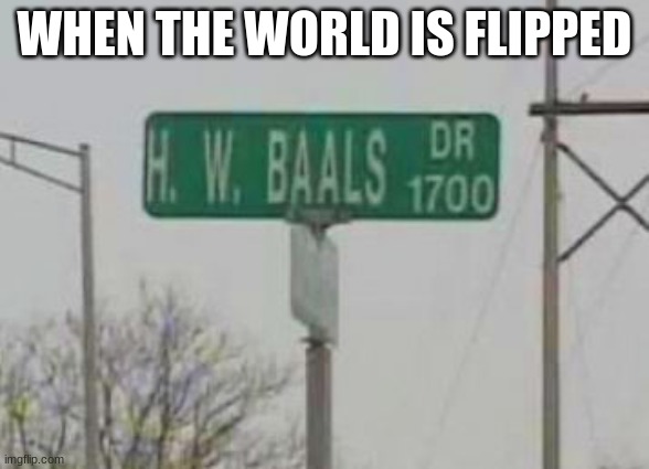 why? | WHEN THE WORLD IS FLIPPED | image tagged in fun,balls,deez nuts | made w/ Imgflip meme maker