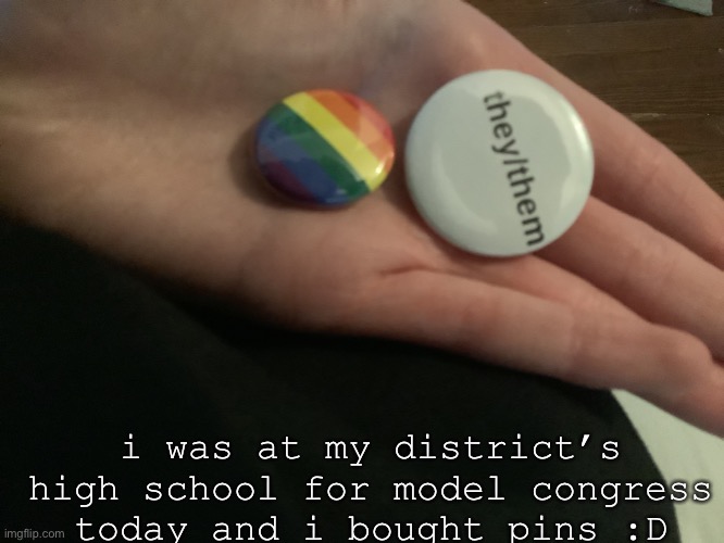 they had a little table with a whole bunch for a dollar each so my friend bought me the pronoun one | i was at my district’s high school for model congress today and i bought pins :D | image tagged in gay | made w/ Imgflip meme maker