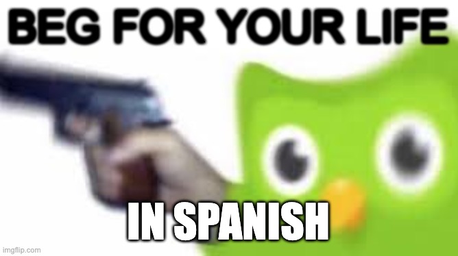 Duolingo gun | BEG FOR YOUR LIFE IN SPANISH | image tagged in duolingo gun | made w/ Imgflip meme maker