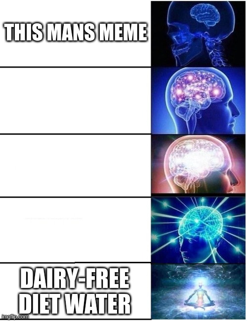 Expanding Brain 5 Panel | THIS MANS MEME DAIRY-FREE DIET WATER | image tagged in expanding brain 5 panel | made w/ Imgflip meme maker