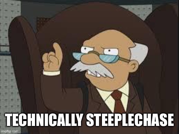 Technically Correct | TECHNICALLY STEEPLECHASE | image tagged in technically correct | made w/ Imgflip meme maker