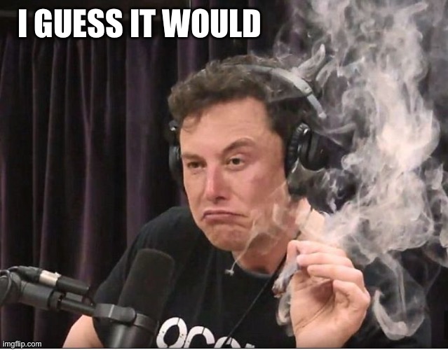 Elon Musk smoking a joint | I GUESS IT WOULD | image tagged in elon musk smoking a joint | made w/ Imgflip meme maker