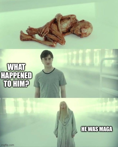 Dead Baby Voldemort / What Happened To Him | WHAT HAPPENED TO HIM? HE WAS MAGA | image tagged in dead baby voldemort / what happened to him | made w/ Imgflip meme maker