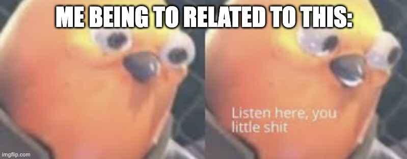 Listen here you little shit bird | ME BEING TO RELATED TO THIS: | image tagged in listen here you little shit bird | made w/ Imgflip meme maker