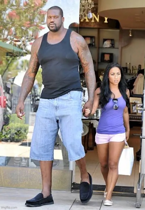 Shaquille and Girl | image tagged in shaquille and girl | made w/ Imgflip meme maker