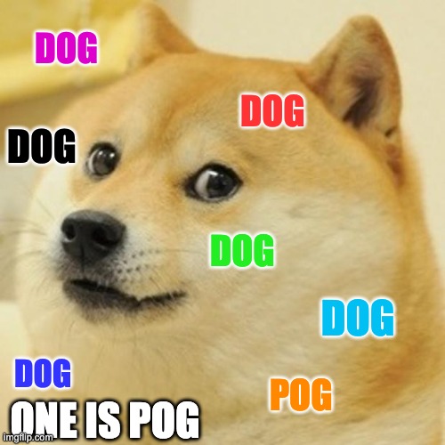 Doge Meme | DOG; DOG; DOG; DOG; DOG; DOG; POG; ONE IS POG | image tagged in memes,doge | made w/ Imgflip meme maker