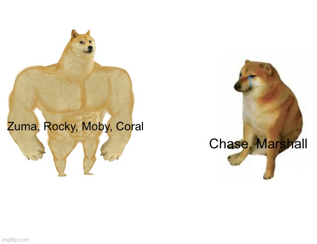 Buff Doge vs. Cheems | Zuma, Rocky, Moby, Coral; Chase, Marshall | image tagged in memes,buff doge vs cheems,paw patrol,overused,nickelodeon,canada | made w/ Imgflip meme maker