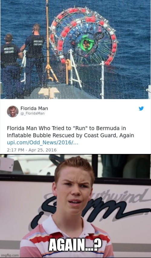 Florida man | AGAIN...? | image tagged in you guys are getting paid,what,florida man,memes,meme | made w/ Imgflip meme maker