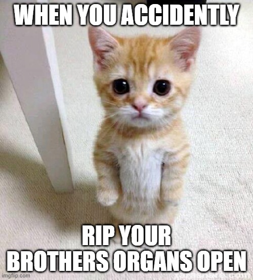 #relatablememe | WHEN YOU ACCIDENTLY; RIP YOUR BROTHERS ORGANS OPEN | image tagged in memes,cute cat,relatable | made w/ Imgflip meme maker
