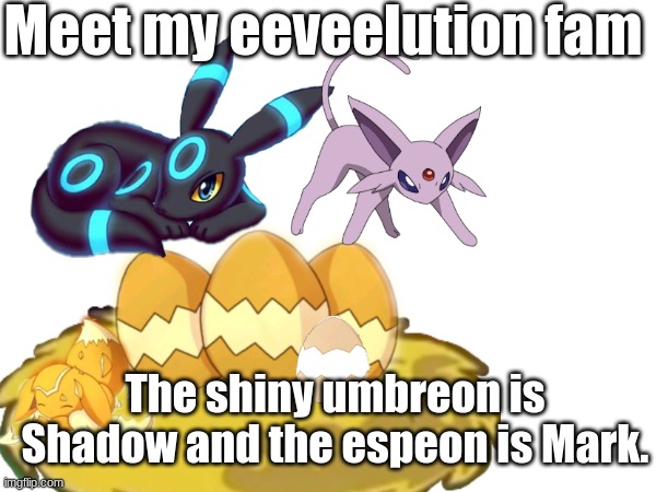 Meet my eeveelution fam The shiny umbreon is Shadow and the espeon is Mark. | made w/ Imgflip meme maker