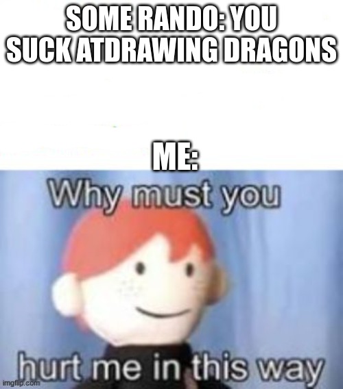 blank why must you hurt me | SOME RANDO: YOU SUCK ATDRAWING DRAGONS; ME: | image tagged in blank why must you hurt me | made w/ Imgflip meme maker