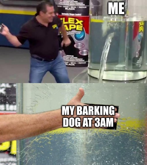 Flex Tape | ME; MY BARKING DOG AT 3AM | image tagged in flex tape | made w/ Imgflip meme maker