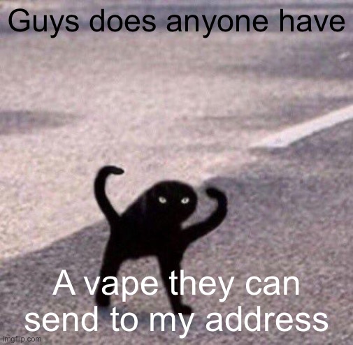 Cursed cat temp | Guys does anyone have; A vape they can send to my address | image tagged in cursed cat temp | made w/ Imgflip meme maker