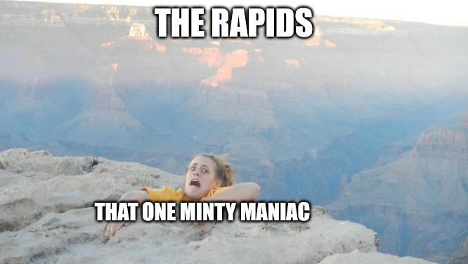 Hanging on! | THE RAPIDS; THAT ONE MINTY MANIAC | image tagged in hanging on,JellesMarbleRuns | made w/ Imgflip meme maker