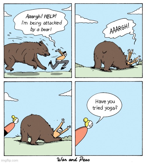 The bear attack | image tagged in bear,attack,bears,yoga,comics,comics/cartoons | made w/ Imgflip meme maker