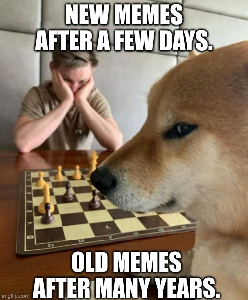 Yes | NEW MEMES AFTER A FEW DAYS. OLD MEMES AFTER MANY YEARS. | image tagged in chess doge | made w/ Imgflip meme maker