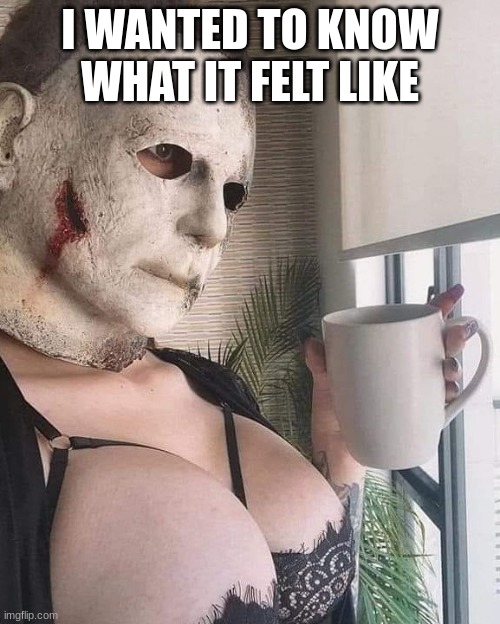 I WANTED TO KNOW WHAT IT FELT LIKE | image tagged in micheal myers | made w/ Imgflip meme maker