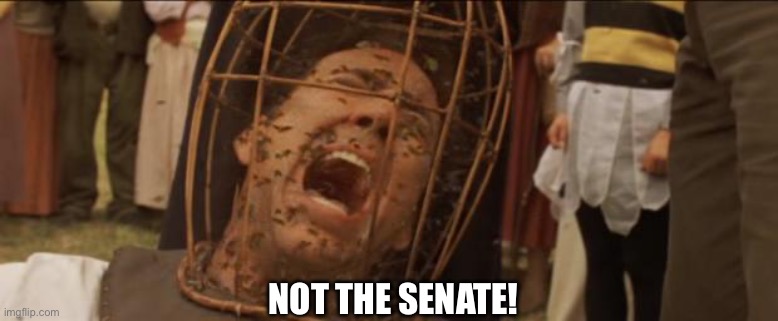 Not the bees | NOT THE SENATE! | image tagged in not the bees | made w/ Imgflip meme maker