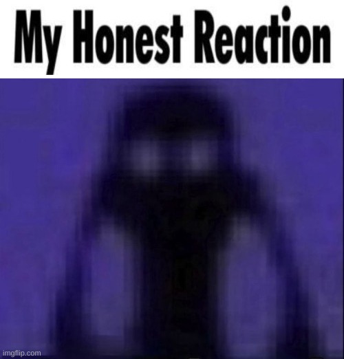 shadow my honest reaction | image tagged in shadow my honest reaction | made w/ Imgflip meme maker