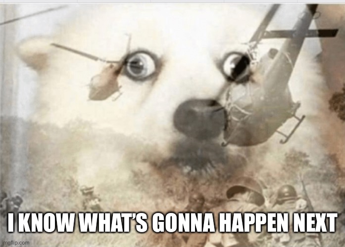 PTSD dog | I KNOW WHAT’S GONNA HAPPEN NEXT | image tagged in ptsd dog | made w/ Imgflip meme maker
