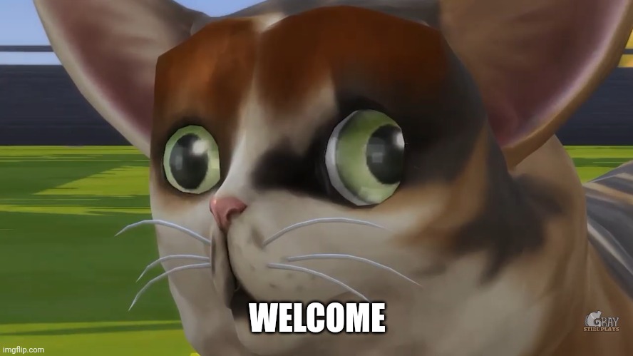 Spleens the cat | WELCOME | image tagged in spleens the cat | made w/ Imgflip meme maker