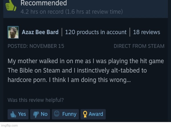 Yes, you have been doing this wrong, bible good, porn bad | image tagged in memes | made w/ Imgflip meme maker