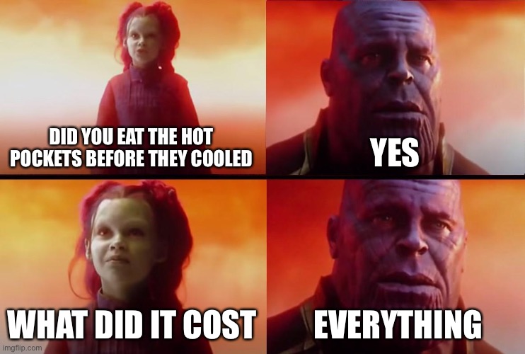 Hot Pockets | DID YOU EAT THE HOT POCKETS BEFORE THEY COOLED; YES; WHAT DID IT COST; EVERYTHING | image tagged in thanos what did it cost,hot pockets | made w/ Imgflip meme maker