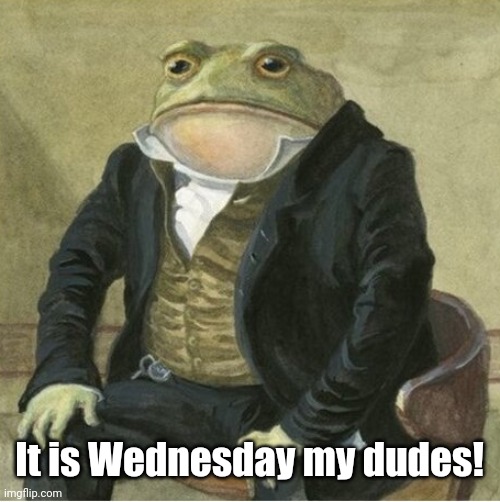 It is Wednesday my dudes! | It is Wednesday my dudes! | image tagged in formal frog,it is wednesday my dudes,gentleman frog,gentlemen it is with great pleasure to inform you that,memes,funny | made w/ Imgflip meme maker