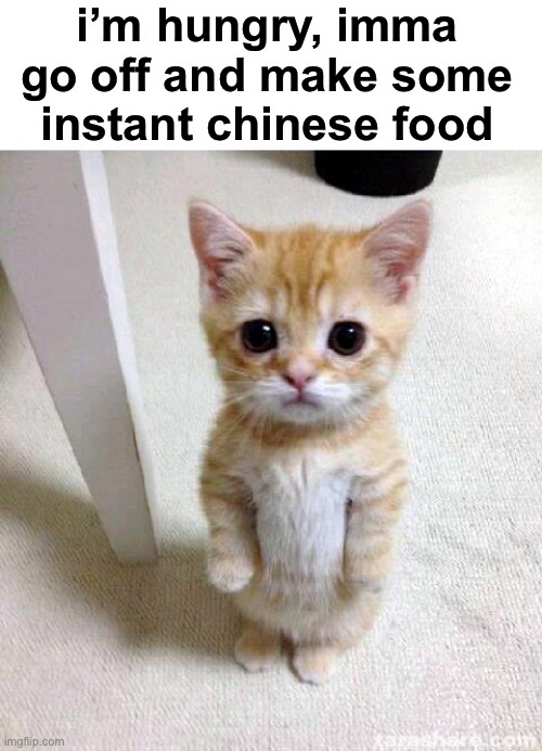 bc i have a diverse palate | i’m hungry, imma go off and make some instant chinese food | image tagged in memes,cute cat,instant chinese food | made w/ Imgflip meme maker