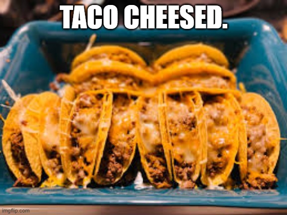 Pic by me | TACO CHEESED. | made w/ Imgflip meme maker