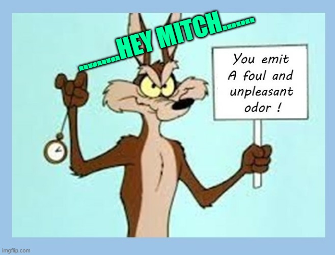 .........HEY MITCH....... | image tagged in stinky | made w/ Imgflip meme maker