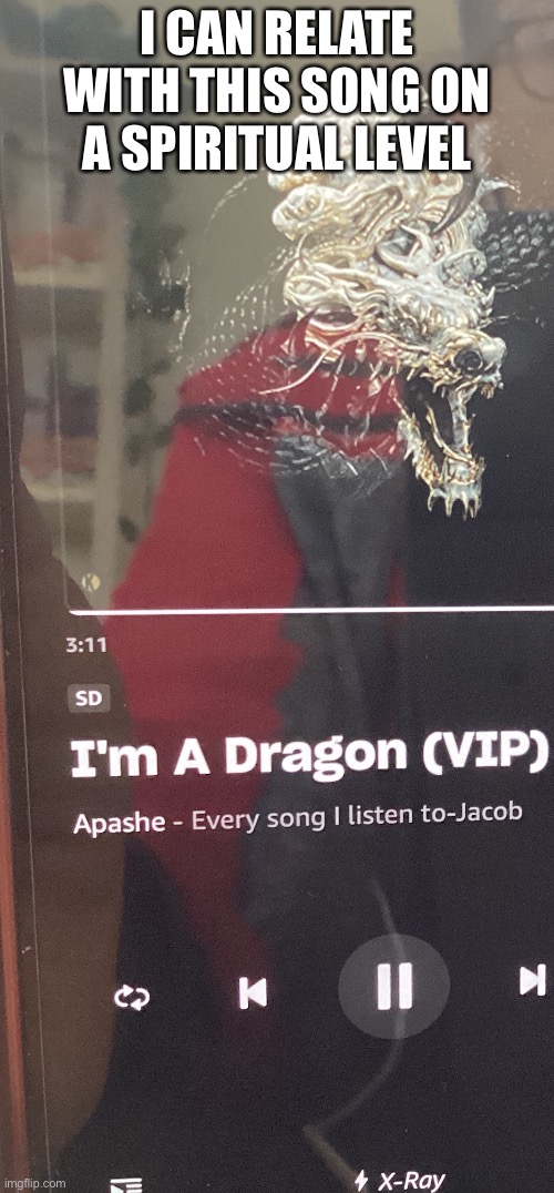 If you haven’t noticed, by name has dragon in it. | I CAN RELATE WITH THIS SONG ON A SPIRITUAL LEVEL | image tagged in music | made w/ Imgflip meme maker