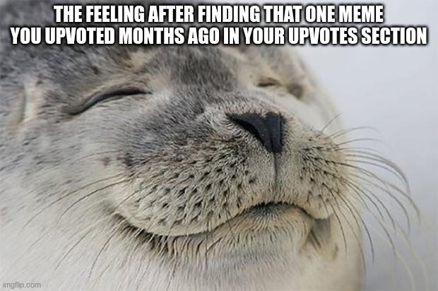 It takes so long sometimes | THE FEELING AFTER FINDING THAT ONE MEME YOU UPVOTED MONTHS AGO IN YOUR UPVOTES SECTION | image tagged in memes,satisfied seal,upvotes,satisfying,finally,funny | made w/ Imgflip meme maker