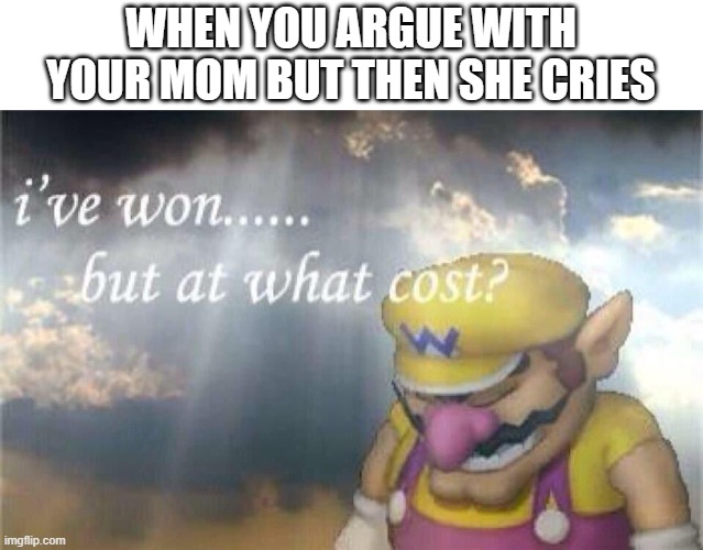Ive won, but at what cost? | WHEN YOU ARGUE WITH YOUR MOM BUT THEN SHE CRIES | image tagged in ive won but at what cost | made w/ Imgflip meme maker