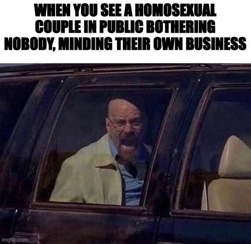 you gotta make it your job to ruin their day | WHEN YOU SEE A HOMOSEXUAL COUPLE IN PUBLIC BOTHERING NOBODY, MINDING THEIR OWN BUSINESS | image tagged in walter white screaming at hank | made w/ Imgflip meme maker