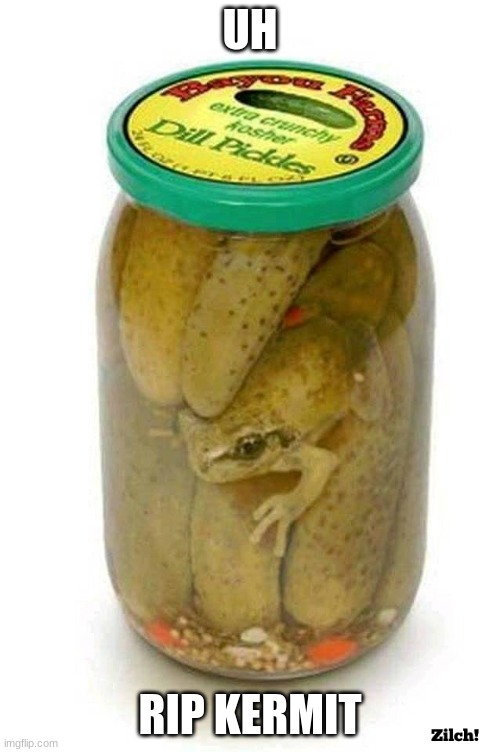 Pickled Frog | UH; RIP KERMIT | image tagged in pickled frog | made w/ Imgflip meme maker