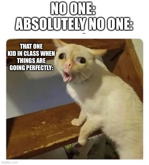 Oh no | NO ONE: 
ABSOLUTELY NO ONE:; THAT ONE KID IN CLASS WHEN THINGS ARE GOING PERFECTLY: | image tagged in coughing cat | made w/ Imgflip meme maker