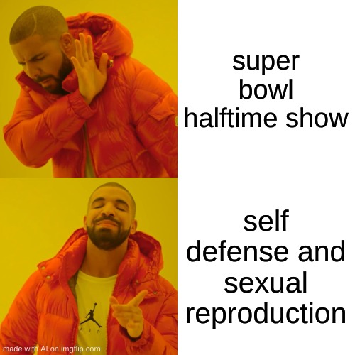 AI drake real facts | super bowl halftime show; self defense and sexual reproduction | image tagged in memes,drake hotline bling | made w/ Imgflip meme maker