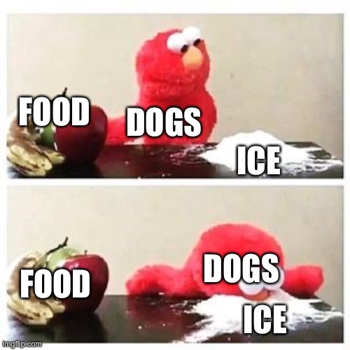 Dogs taste | FOOD; DOGS; ICE; DOGS; FOOD; ICE | image tagged in elmo cocaine | made w/ Imgflip meme maker