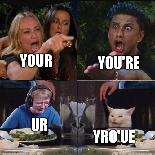 yro'ue* | YOU'RE; YOUR; UR; YRO'UE | image tagged in girl pointing at cat crossover meme | made w/ Imgflip meme maker