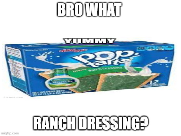 Blank White Template | BRO WHAT; RANCH DRESSING? | image tagged in blank white template | made w/ Imgflip meme maker