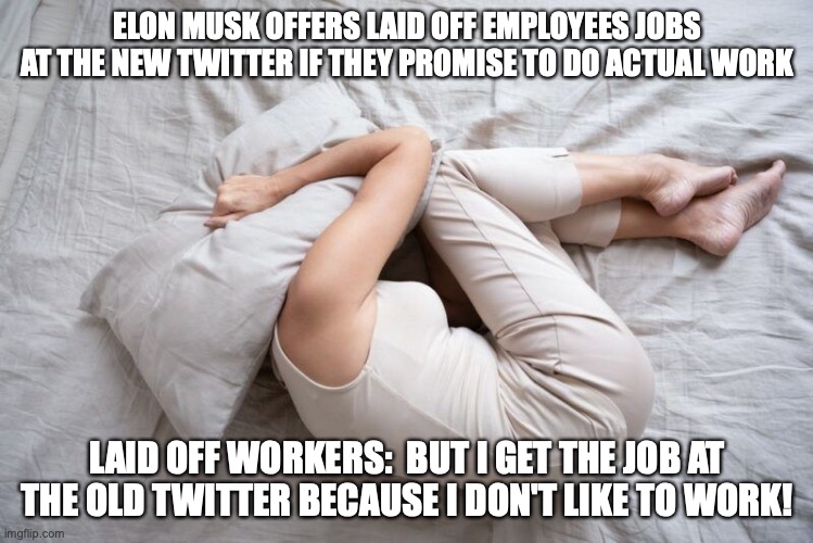 Twitter "Workers" Despair | ELON MUSK OFFERS LAID OFF EMPLOYEES JOBS AT THE NEW TWITTER IF THEY PROMISE TO DO ACTUAL WORK; LAID OFF WORKERS:  BUT I GET THE JOB AT THE OLD TWITTER BECAUSE I DON'T LIKE TO WORK! | image tagged in twitter,elon musk | made w/ Imgflip meme maker