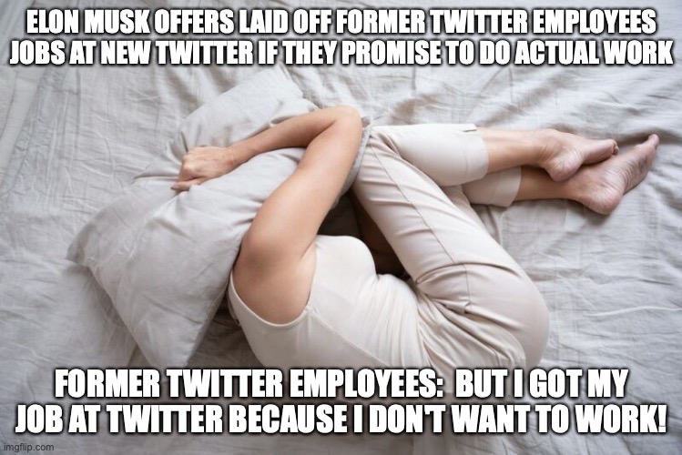 Former Twitter Employees: But I don't Want to Work | ELON MUSK OFFERS LAID OFF FORMER TWITTER EMPLOYEES JOBS AT NEW TWITTER IF THEY PROMISE TO DO ACTUAL WORK; FORMER TWITTER EMPLOYEES:  BUT I GOT MY JOB AT TWITTER BECAUSE I DON'T WANT TO WORK! | image tagged in twitter,elon musk | made w/ Imgflip meme maker