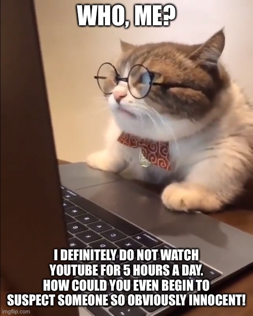 research cat | WHO, ME? I DEFINITELY DO NOT WATCH YOUTUBE FOR 5 HOURS A DAY. HOW COULD YOU EVEN BEGIN TO SUSPECT SOMEONE SO OBVIOUSLY INNOCENT! | image tagged in research cat,youtube,lying | made w/ Imgflip meme maker